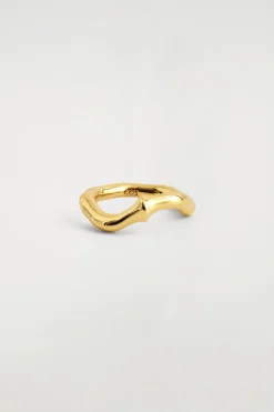 SCULPTED RING